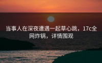 当事人在深夜遭遇一起草心跳,17c全网炸锅,详情围观