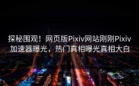探秘围观！网页版Pixiv网站刚刚Pixiv加速器曝光，热门真相曝光真相大白