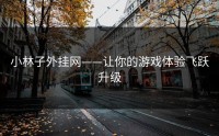 小林子外挂网——让你的游戏体验飞跃升级