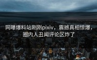 网曝爆料站刚刚pixiv，震撼真相惊爆，圈内人丑闻评论区炸了