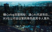 糖心vlog深度揭秘:溏心tv风波背后,大V在公司会议室的角色极其令人意外