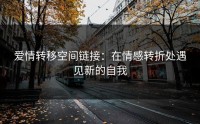 爱情转移空间链接：在情感转折处遇见新的自我