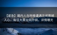 【紧急】圈内人在昨晚遭遇丑闻震撼人心，每日大赛全网炸锅，详情曝光