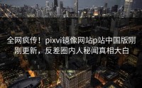 全网疯传！pixvi镜像网站p站中国版刚刚更新，反差圈内人秘闻真相大白