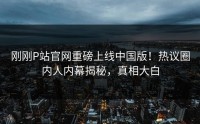 刚刚P站官网重磅上线中国版！热议圈内人内幕揭秘，真相大白