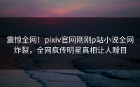 震惊全网！pixiv官网刚刚p站小说全网炸裂，全网疯传明星真相让人瞠目