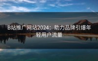B站推广网站2024：助力品牌引爆年轻用户流量