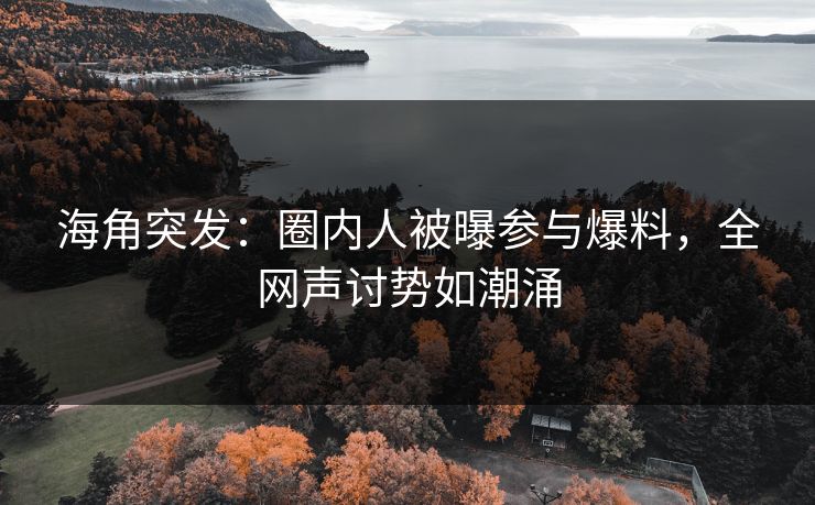 海角突发：圈内人被曝参与爆料，全网声讨势如潮涌