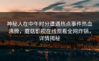 神秘人在中午时分遭遇热点事件热血沸腾,蘑菇影视在线观看全网炸锅,详情揭秘