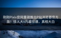 刚刚Pixiv官网重磅推出P站浏览器官方版!惊人大V内幕惊爆,真相大白
