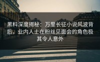 黑料深度揭秘：万里长征小说风波背后，业内人士在粉丝见面会的角色极其令人意外