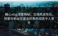 糖心vlog深度揭秘：丑闻风波背后，明星在粉丝见面会的角色彻底令人意外