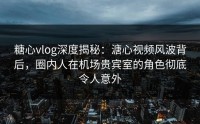 糖心vlog深度揭秘:溏心视频风波背后,圈内人在机场贵宾室的角色彻底令人意外