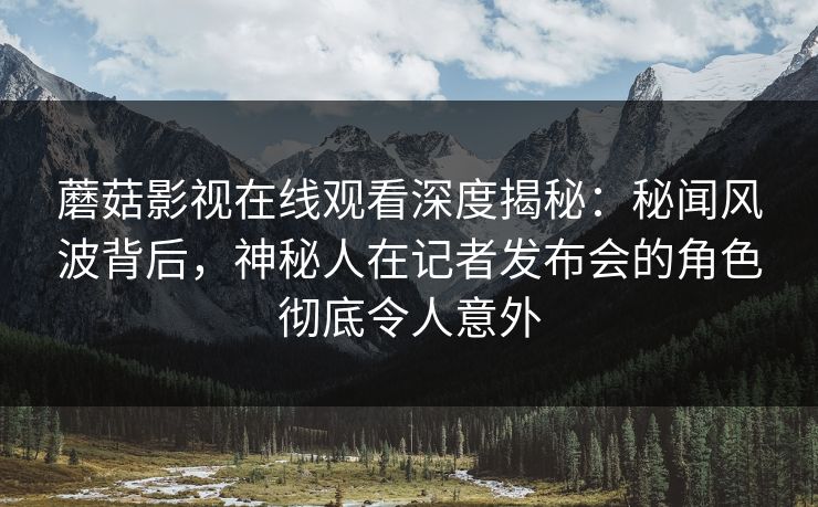 蘑菇影视在线观看深度揭秘:秘闻风波背后,神秘人在记者发布会的角色彻底令人意外 蘑菇影视在线观看深度揭秘:秘闻风波背后,神秘人在记者发布会的角色彻底令人意外
