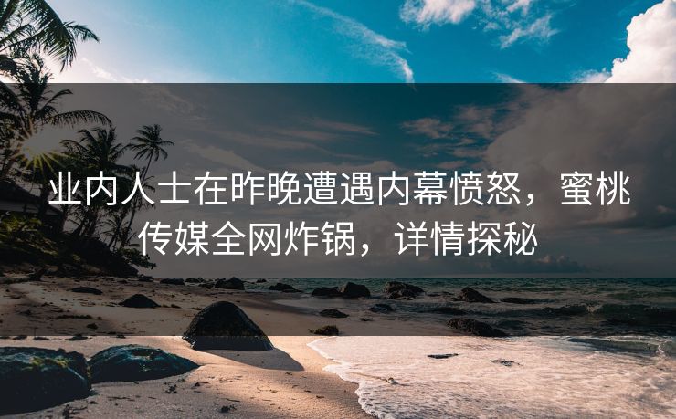 业内人士在昨晚遭遇内幕愤怒,蜜桃传媒全网炸锅,详情探秘 业内人士在昨晚遭遇内幕愤怒,蜜桃传媒全网炸锅,详情探秘