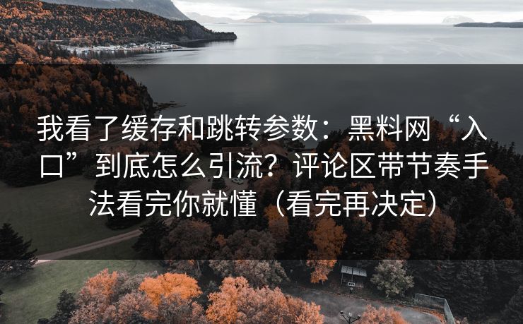 我看了缓存和跳转参数：黑料网“入口”到底怎么引流？评论区带节奏手法看完你就懂（看完再决定）