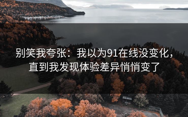 别笑我夸张：我以为91在线没变化，直到我发现体验差异悄悄变了